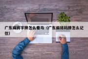 广东麻将字牌怎么看马（广东麻将码牌怎么记住）